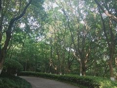 -杭州半山国家森林公园