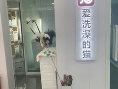 -爱洗澡的猫(望京店)