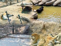 -大连森林动物园