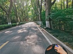 -紫金山索道-售票处