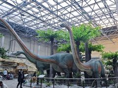 -国家自然博物馆