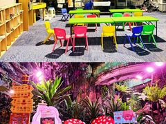 -正佳雨林生态植物园