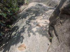 -南山植物园