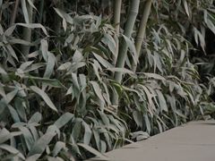 -黄河小浪底水利枢纽风景区