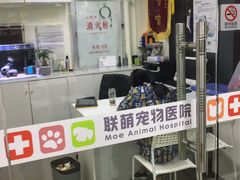 -联萌宠物医院(猫病专科)