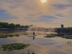 -白浪绿洲湿地公园