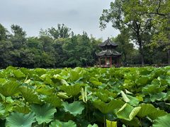 -房湖公园