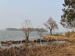 -长广溪湿地公园