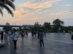 -宝安西湾红树林湿地公园