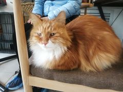-平行世界·猫咖(首经贸店)
