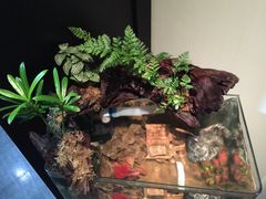 -Together·泰式按摩精油SPA(天山店)