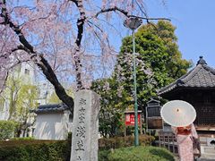 -浅草寺