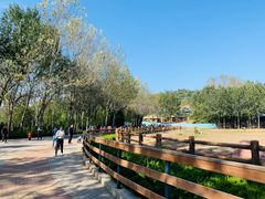 -大连森林动物园