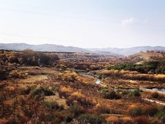 -塞罕坝国家级自然保护区