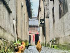 -古堰画乡景区