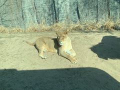 -北京野生动物园