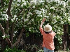 -国家植物园南园