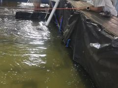 -小象钓虾·营地烧烤(洛溪店)