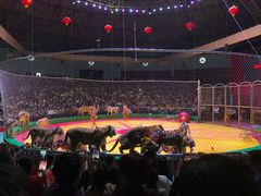 -西安秦岭野生动物园