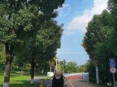 -白鹭湾湿地公园