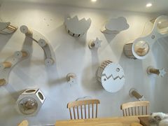 -楼上猫咖(罗湖店)