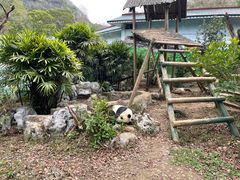 -柳州市动物园