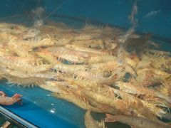 -鹰龙海畔度假酒店(咸祥店)