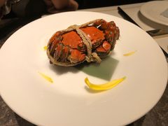 -觀芷隐轩