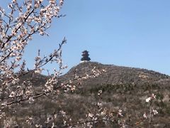 -定都峰