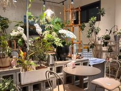 -青莯_Percher Coffee Shop(皮市街店)