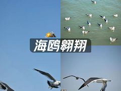 -悦海公园