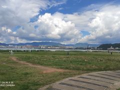 -洱海月湿地公园