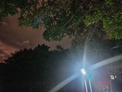 -广西大学(大学东路校区)