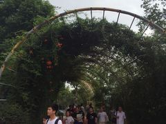 -东湖欢乐水世界