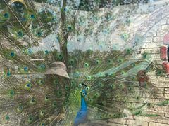 -北京鹿世界主题园