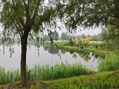-东郊湿地公园