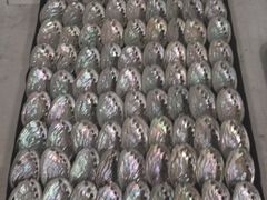 -品珍中餐厅·南北融合特色菜(兰州富力万达文华酒店)