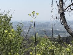 -北京十三陵国家森林公园蟒山景区