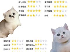 -守诺宠物医院·眼科· 特色牙科·异宠专科(虹口店)