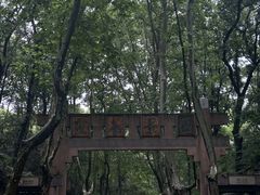 -灵谷景区