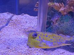 -太平洋海底世界