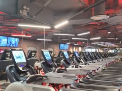 -威尔仕健身(新天地店)