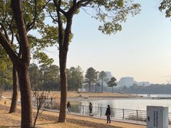 -美兰湖景区
