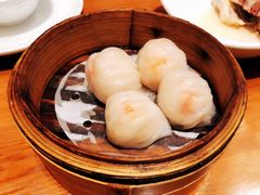 -頂好酒家·经典粤菜(海信广场店)
