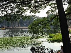 -荔湾湖公园