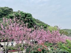 -狐尾山公园