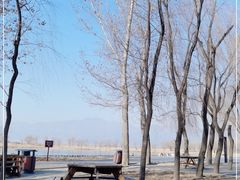 -野鸭湖国家湿地公园