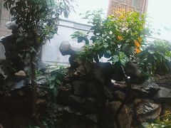 -东江渔村·古典园林·30年粤菜老字号(太和店)