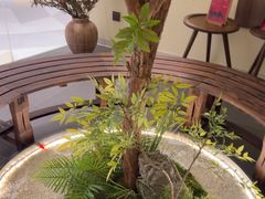 -静耳元気采耳·按摩·SPA(万象前海店)