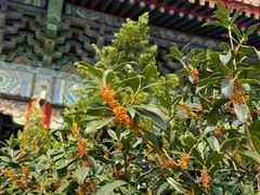 -北京市劳动人民文化宫(太庙)
